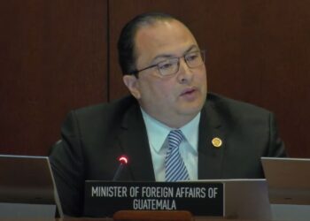 Ministro Búcaro ante la OEA ratificó que Guatemala es un país democrático. /Foto: OEA