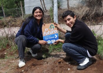Sembrando Huella logra la plantación de más de 401 mil árboles. / Foto: Inab.