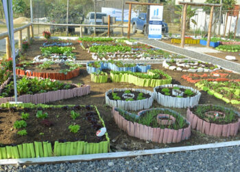 El MAGA fortalece la educación a través de los huertos escolares en 2024