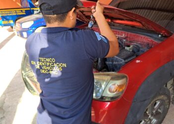Atienden 533 solicitudes de expertaje para vehículos en Izabal
