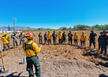 Soldados se capacitan para combatir incendios forestales en la Región Suroriente
