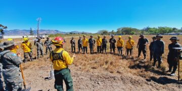 Soldados se capacitan para combatir incendios forestales en la Región Suroriente
