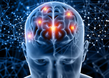 Descifran los circuitos neuronales implicados en la toma de decisiones