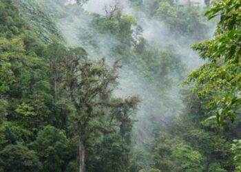 La finalidad del congreso es buscar soluciones integrales e innovadoras para enfrentar los cambios climáticos.// Foto: Gobierno.
