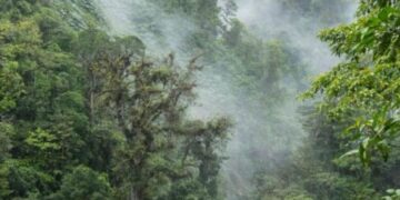 La finalidad del congreso es buscar soluciones integrales e innovadoras para enfrentar los cambios climáticos.// Foto: Gobierno.