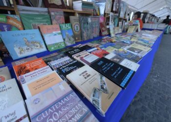 El bazar tiene disponibles libros de contenido educativo y de diferentes géneros de interés para todas las edades.// Foto: Gilber García.