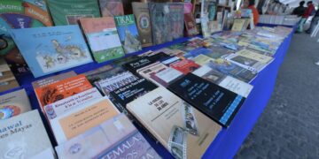 El bazar tiene disponibles libros de contenido educativo y de diferentes géneros de interés para todas las edades.// Foto: Gilber García.