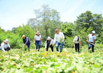 El MAGA, a través de sus diversas direcciones, se posiciona como un actor clave en la promoción de prácticas agrícolas sostenibles. / Foto: MAGA.