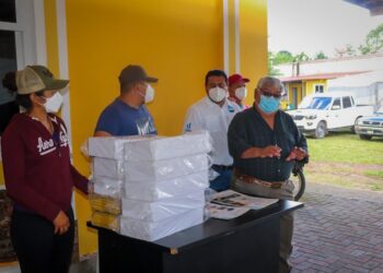 La continuación de estrategias efectivas y la colaboración con los productores apícolas locales son clave para mantener y expandir estos logros. / Foto: MAGA.