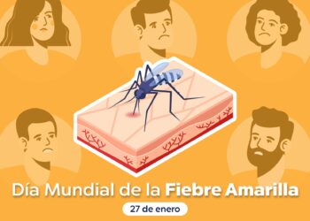 27 de enero, Día Mundial de la Fiebre Amarilla