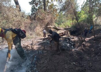 Finalizan acciones operativas de control y liquidación de incendio forestal en Nahualá, Sololá
