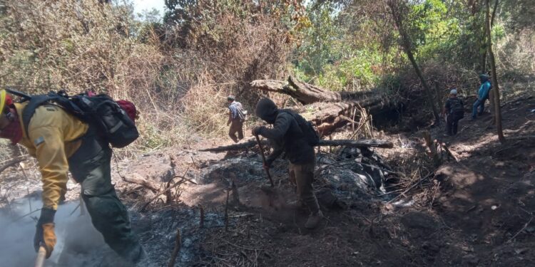 Finalizan acciones operativas de control y liquidación de incendio forestal en Nahualá, Sololá