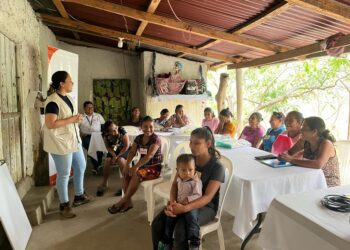 La iniciativa incluye capacitaciones para mejorar la producción y sostenibilidad. / Foto: MAGA.