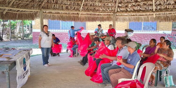 La integración de nuevos socios en la agrocadena del limón es un paso clave para asegurar su desarrollo sostenible. / Foto: MAGA.