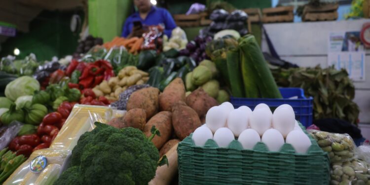 Productos de la canasta básica alimentaria. /Foto: DCA.