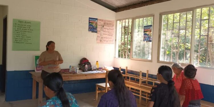 Impulsan partos seguros y prevención de muertes maternas y neonatales