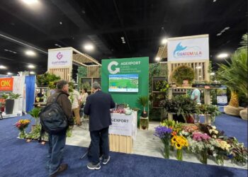 Promueven empresas de plantas ornamentales en Estados Unidos. / Foto: Agexport.