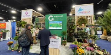 Promueven empresas de plantas ornamentales en Estados Unidos. / Foto: Agexport.