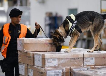 Guatemala logra fuertes golpes contra el narcotráfico y criminalidad