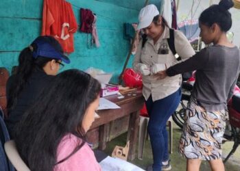 Salud mantiene acciones para contrarrestar la malaria en Izabal
