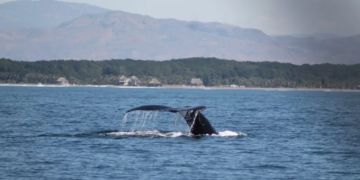 Entidades impulsan el turismo sostenible y la educación ambiental. / Foto: José Moreira, WCS.
