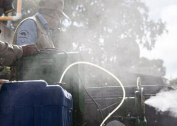Fumigaciones contribuyen a la prevención del dengue. /Foto: MSPAS