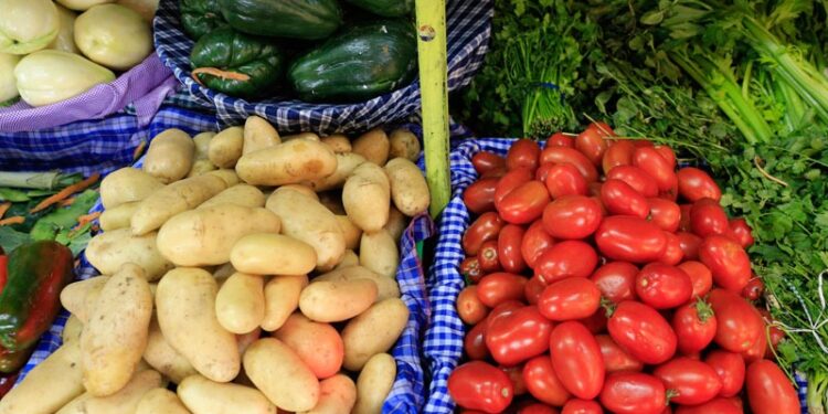 Autoridades monitorean precios de la canasta básica alimentaria. /Foto: DCA.