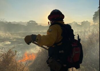 Las brigadas de respuesta a incendios forestales en acompañamiento con cuerpos de primera respuesta continúan brindando atención a los incendios. // Foto: Conred.