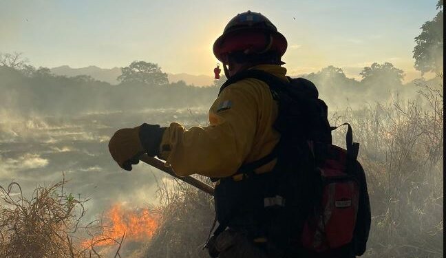 Las brigadas de respuesta a incendios forestales en acompañamiento con cuerpos de primera respuesta continúan brindando atención a los incendios. // Foto: Conred.