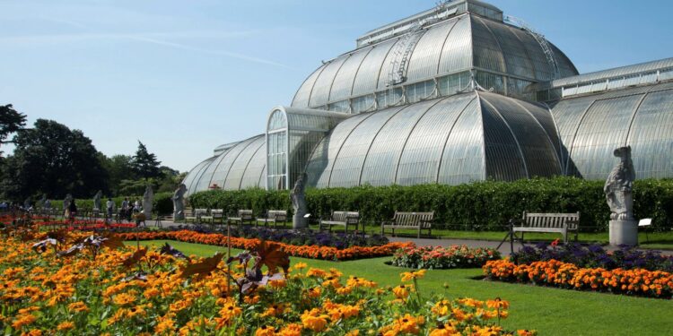 Los jardines botánicos de Kew conservan especies y sus semillas. / Foto: EFE.