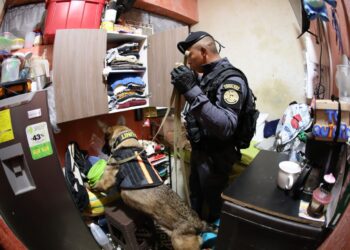 La requisa en El Infiernito demuestra que las autoridades están tomando medidas firmes para erradicar prácticas delictivas desde el interior de las cárceles. / Foto: Mingob.