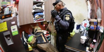 La requisa en El Infiernito demuestra que las autoridades están tomando medidas firmes para erradicar prácticas delictivas desde el interior de las cárceles. / Foto: Mingob.