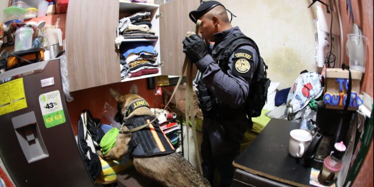 La requisa en El Infiernito demuestra que las autoridades están tomando medidas firmes para erradicar prácticas delictivas desde el interior de las cárceles. / Foto: Mingob.