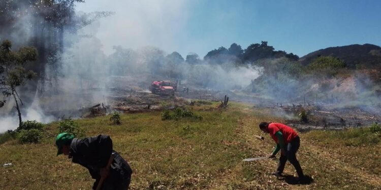 Mantienen acciones para controlar incendios forestales en el departamento de Guatemala