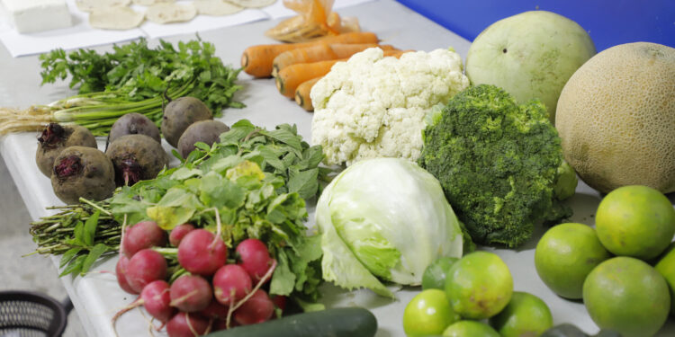 INE actualiza costos de canastas básica y ampliada de enero