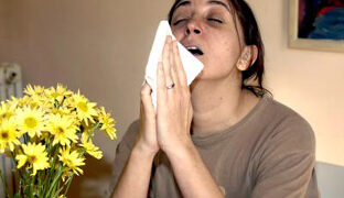 Describen posibles células responsables de que alergias perduren