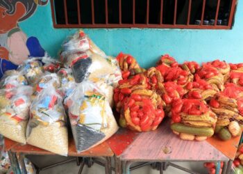 Programa de Alimentación Escolar beneficiará a unos 23 mil agricultores  