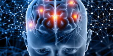 El ser humano utiliza varias regiones cerebrales para procesar la melodía musical