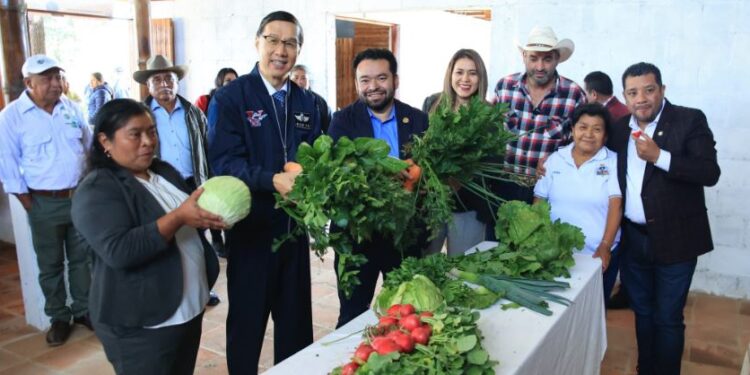 Inauguran estructura demostrativa de bambú