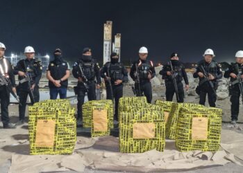 Autoridades decomisan 525 paquetes con cocaína en Puerto Quetzal