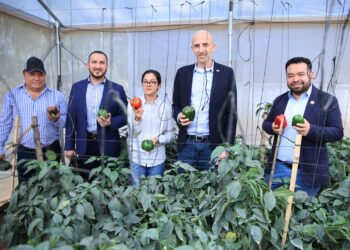 Fortalecen capacidad de agricultores frente al cambio climático
