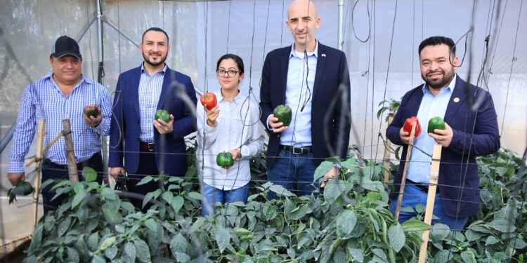 Fortalecen capacidad de agricultores frente al cambio climático