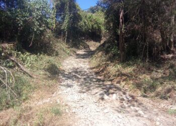 Ejército: Restauran caminos y unen comunidades en Palencia