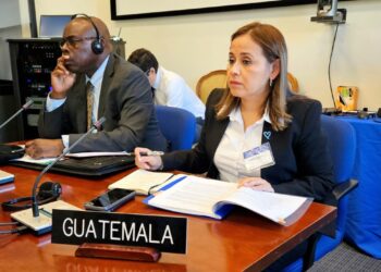 Secretaria ejecutiva de la SVET, Danissa Ramírez, Reunión de Autoridades Nacionales de Trata de Personas de la OEA. / Foto: SVET.