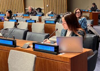 Viceministra de Desarrollo Social, Maria Alejandra Menaldo. /Foto: Mides.