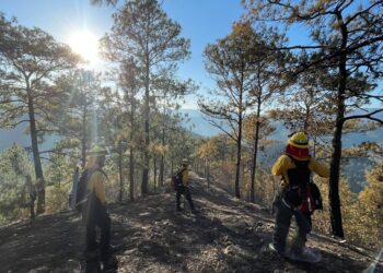 Brigadas en apresto para el combate de incendios forestales. / Foto: Conred.