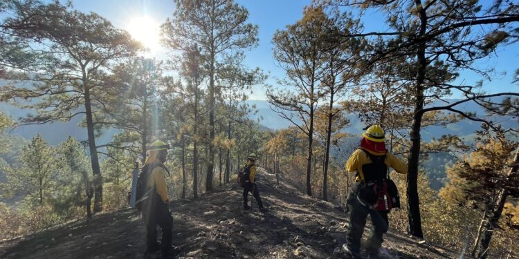 Brigadas en apresto para el combate de incendios forestales. / Foto: Conred.