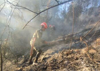 Ejército de Guatemala apoya en el combate a incendios. /Foto: Conred