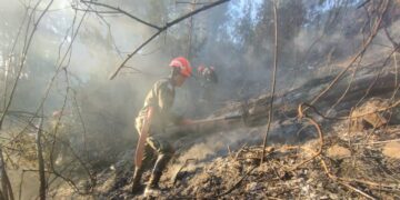 Ejército de Guatemala apoya en el combate a incendios. /Foto: Conred
