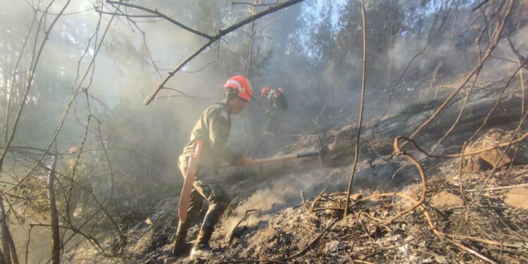 Ejército de Guatemala apoya en el combate a incendios. /Foto: Conred